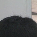 sunshao321  
